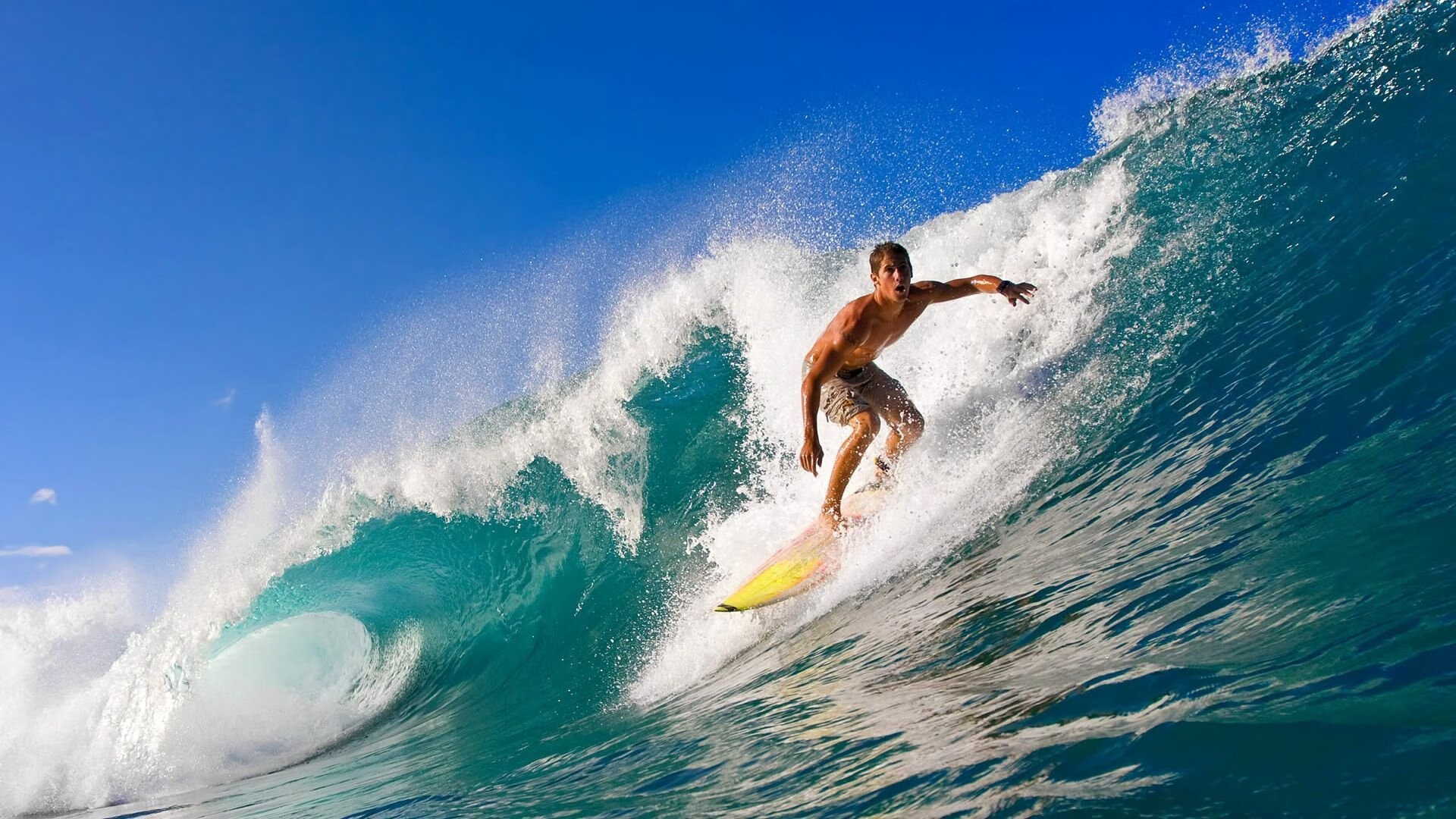 开云体育直播-孤鹰展翅，福克斯生死接管，西决终章铸就传奇